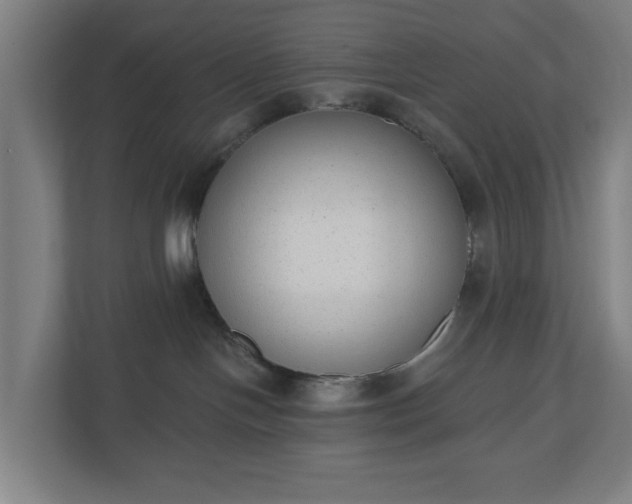 X0000110860094200906251217