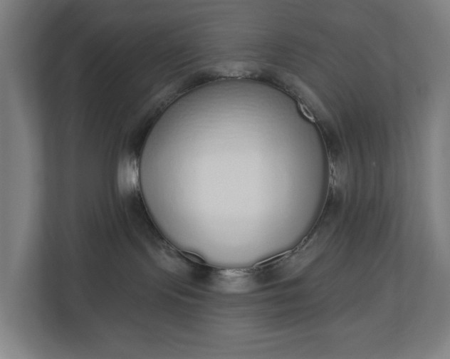 X0000110860095200906251217