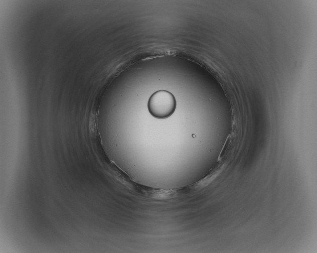 X0000110860096200906251217