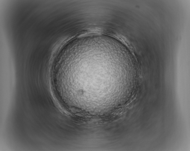 X0000110860097200906251216