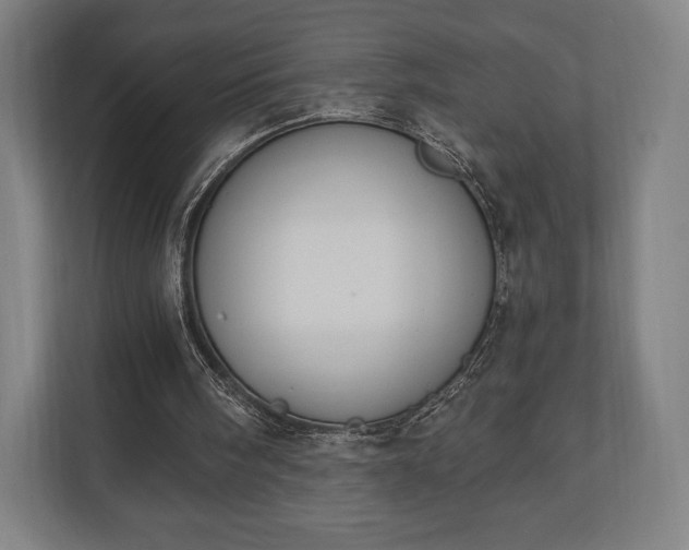 X0000110860098200906251216