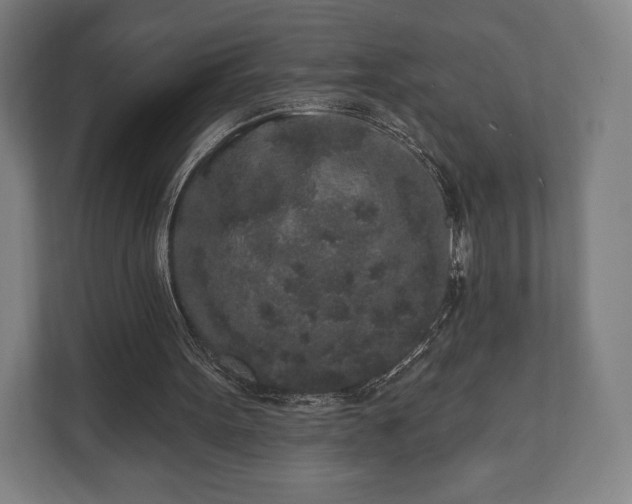 X0000110860099200906251216