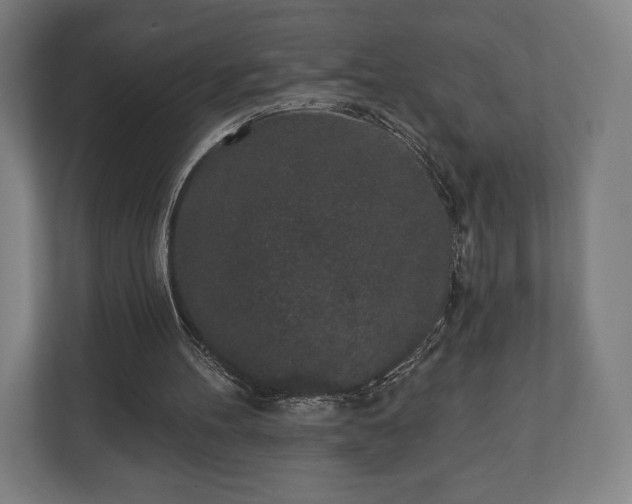 X0000110860100200906251216