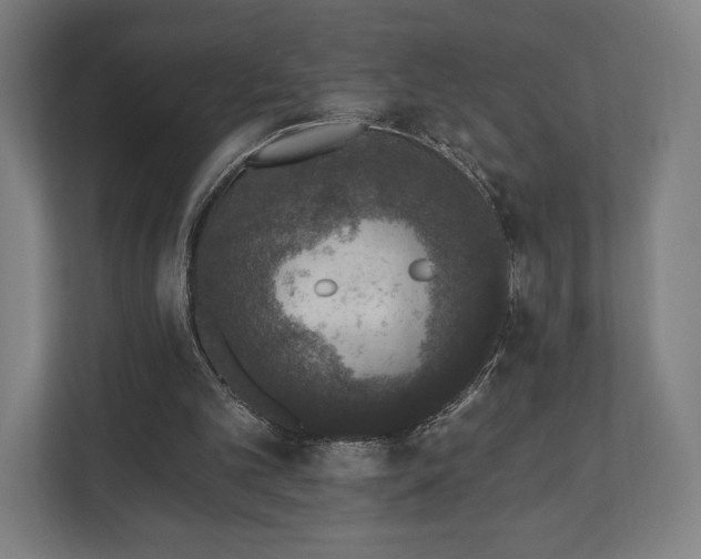 X0000110860101200906251216