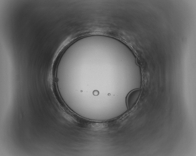 X0000110860102200906251216