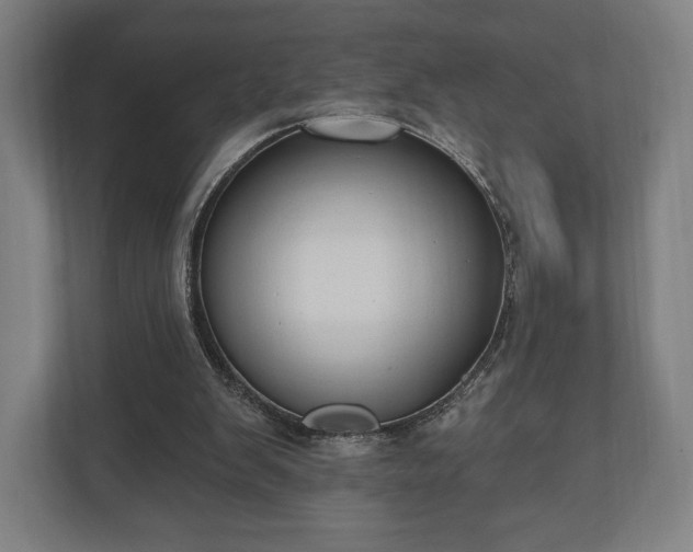 X0000110860103200906251216