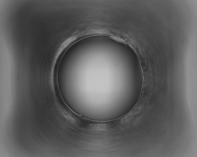 X0000110860104200906251216