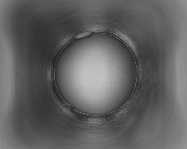 X0000110860105200906251216