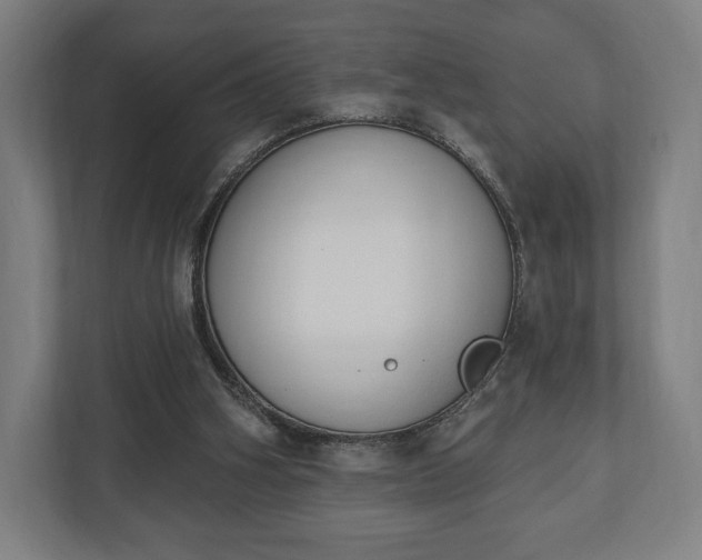 X0000110860106200906251216