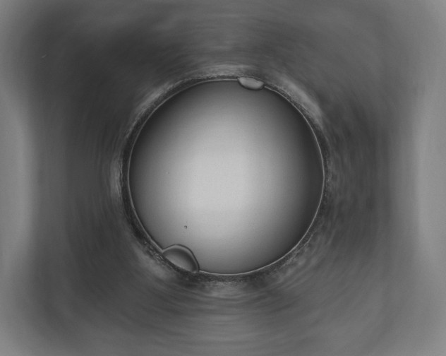 X0000110860107200906251216