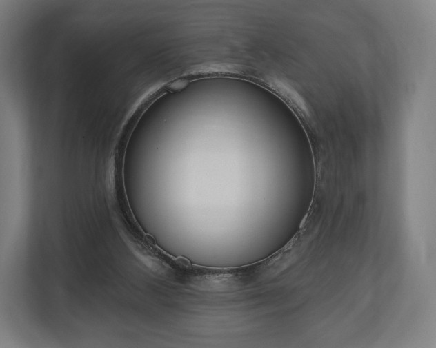 X0000110860108200906251216