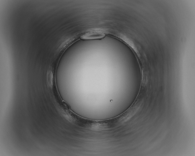 X0000110860109200906251216