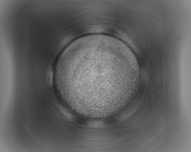 X0000110860110200906251216