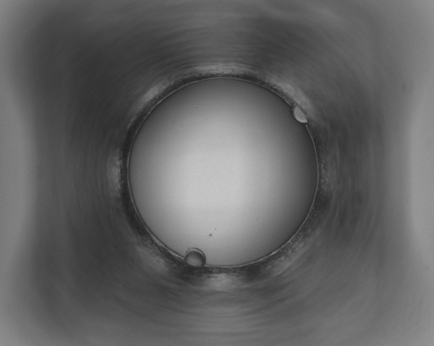 X0000110860111200906251216