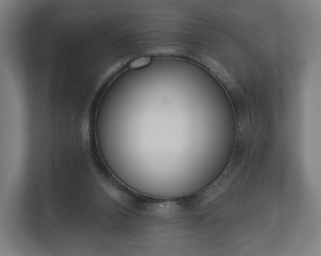 X0000110860112200906251216