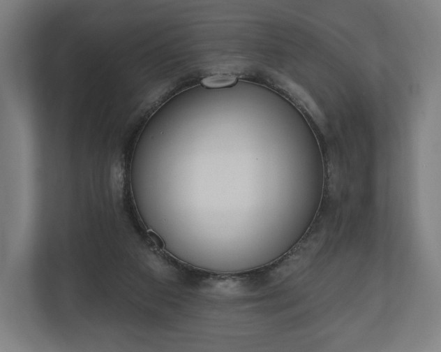 X0000110860113200906251216