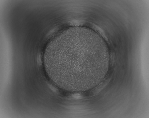 X0000110860114200906251216