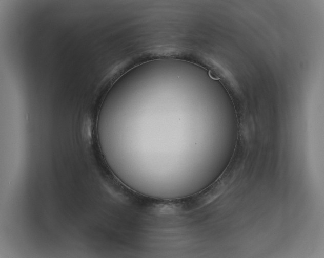 X0000110860115200906251216