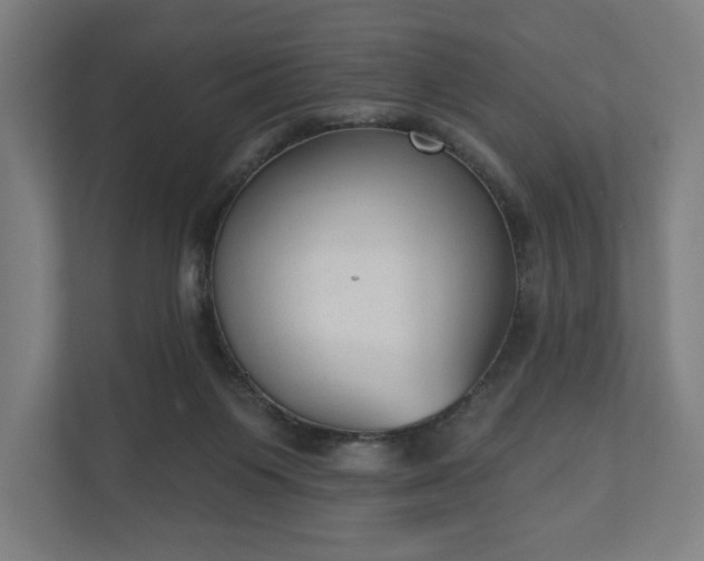 X0000110860119200906251216