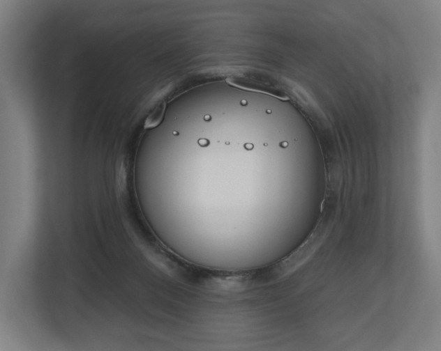 X0000110860120200906251216