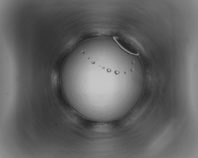 X0000110860123200906251216