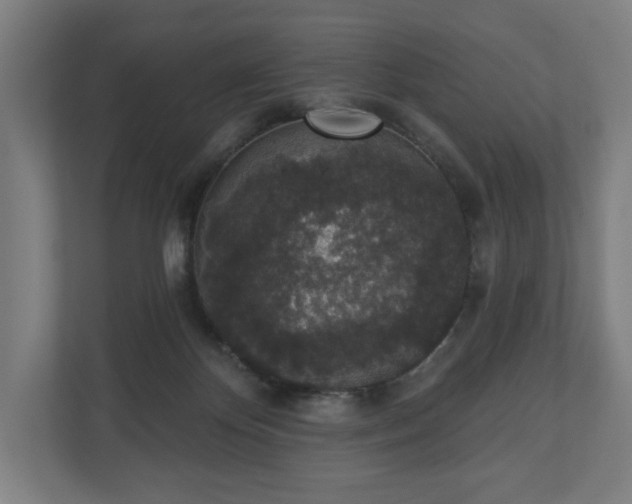 X0000110860124200906251216