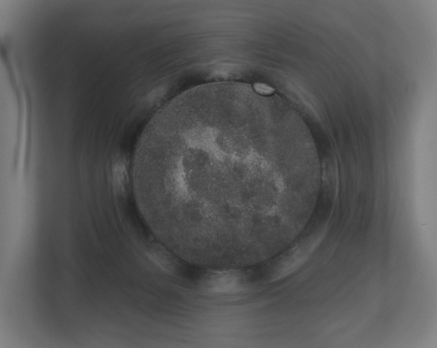 X0000110860127200906251216