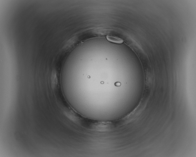 X0000110860128200906251216