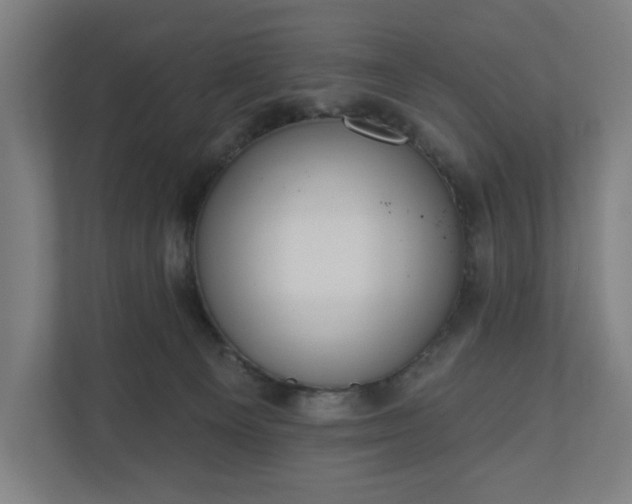 X0000110860129200906251216