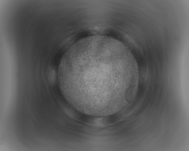 X0000110860130200906251216