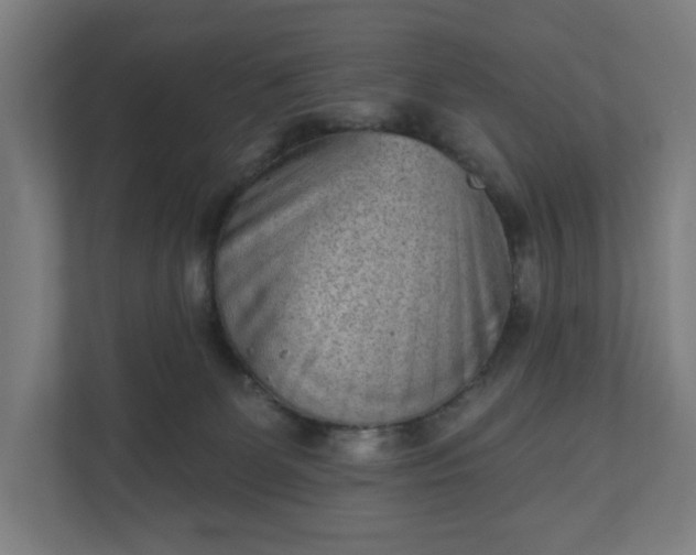 X0000110860131200906251216