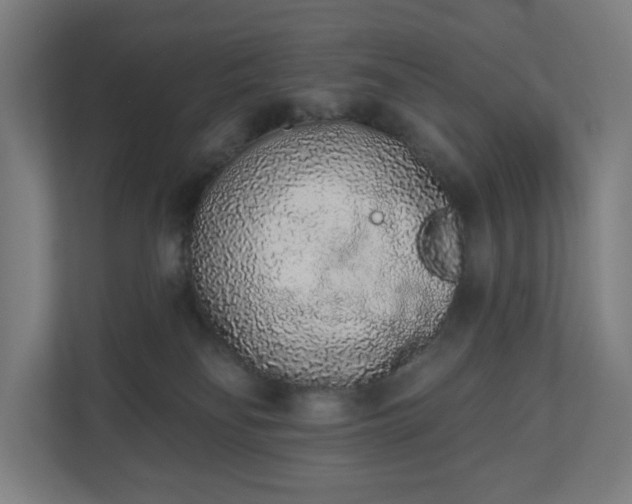 X0000110860134200906251216