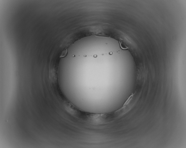 X0000110860136200906251216