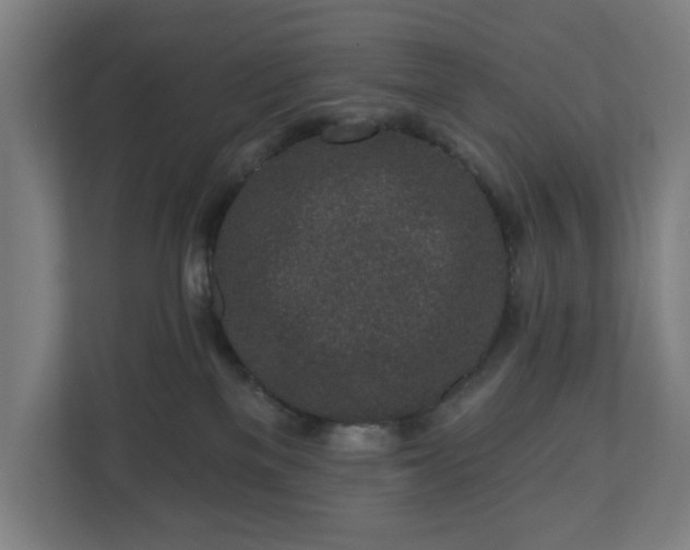 X0000110860137200906251216