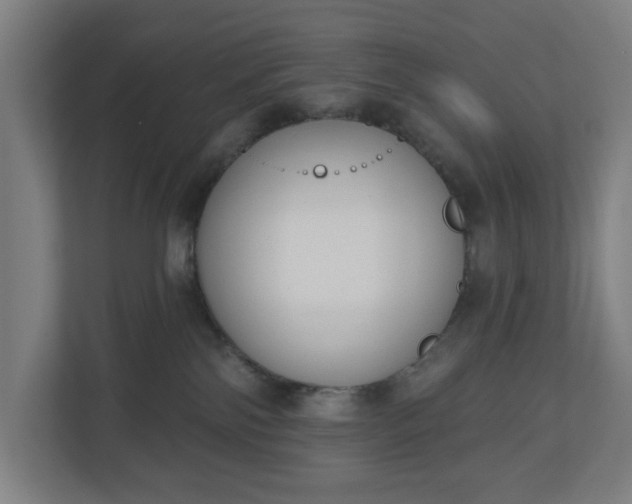 X0000110860138200906251216