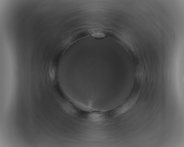 X0000110860139200906251216