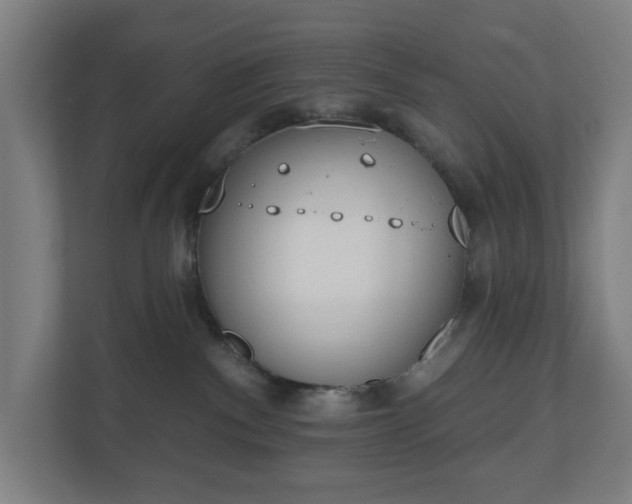 X0000110860140200906251216