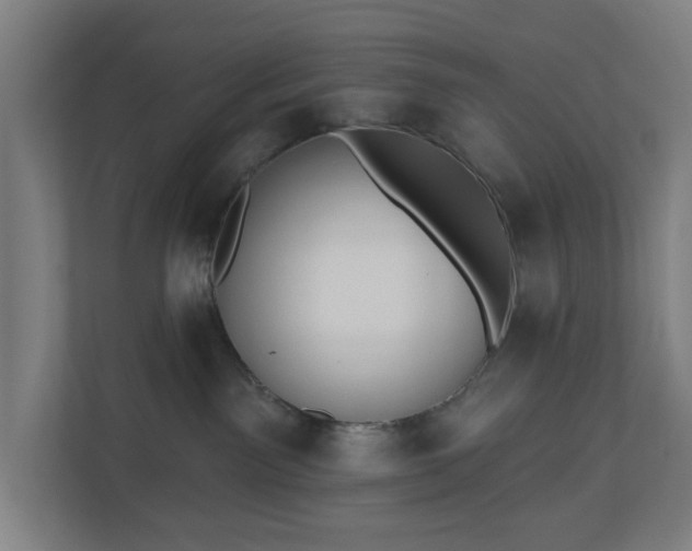 X0000110860141200906251216