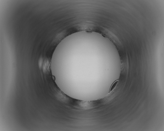 X0000110860142200906251216