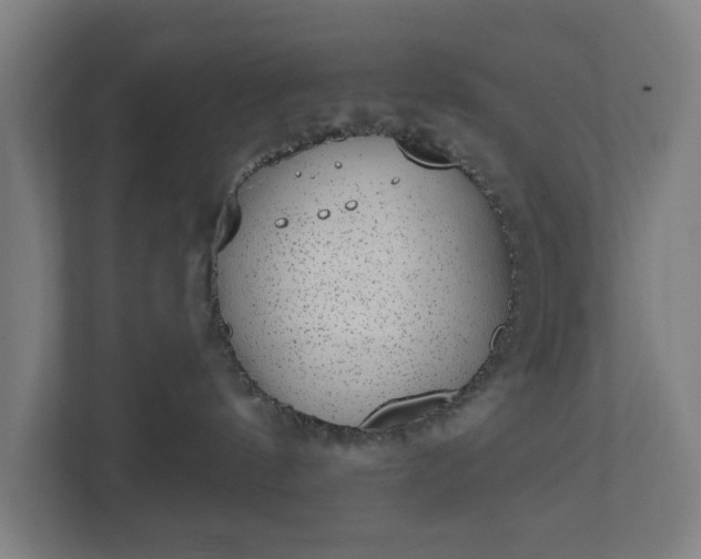 X0000110860144200906251216