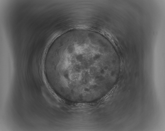 X0000110860145200906251215