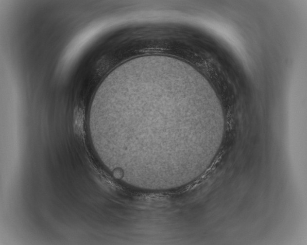 X0000110860146200906251215