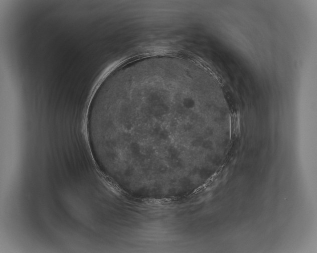 X0000110860147200906251215