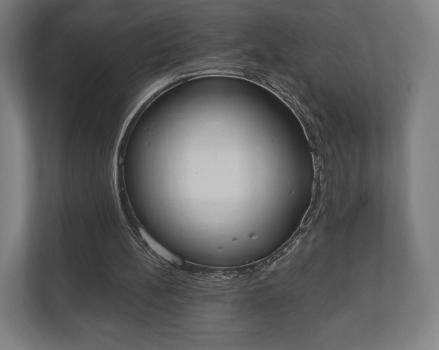 X0000110860148200906251215