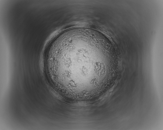 X0000110860149200906251215