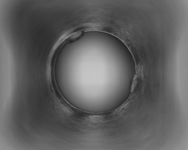 X0000110860150200906251215