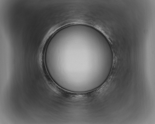 X0000110860151200906251215