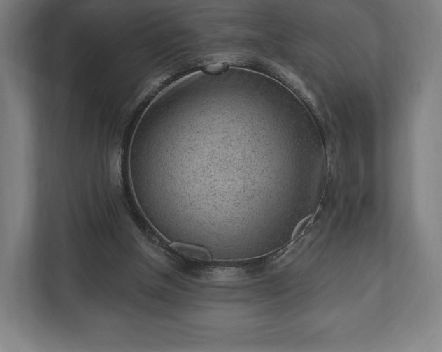 X0000110860154200906251215