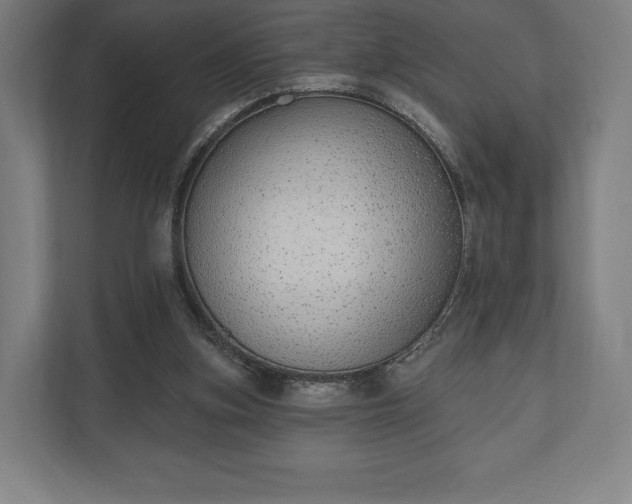 X0000110860155200906251215