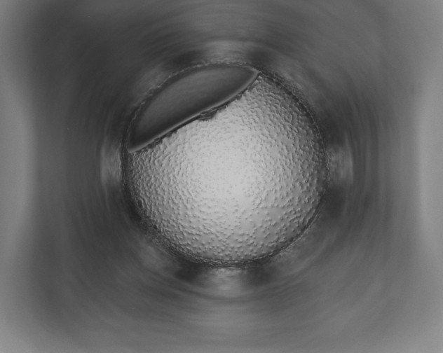 X0000110860158200906251215